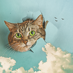 女学生洗澡AAA毛片
