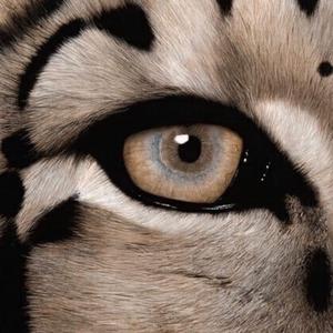 女学生洗澡AAA毛片
